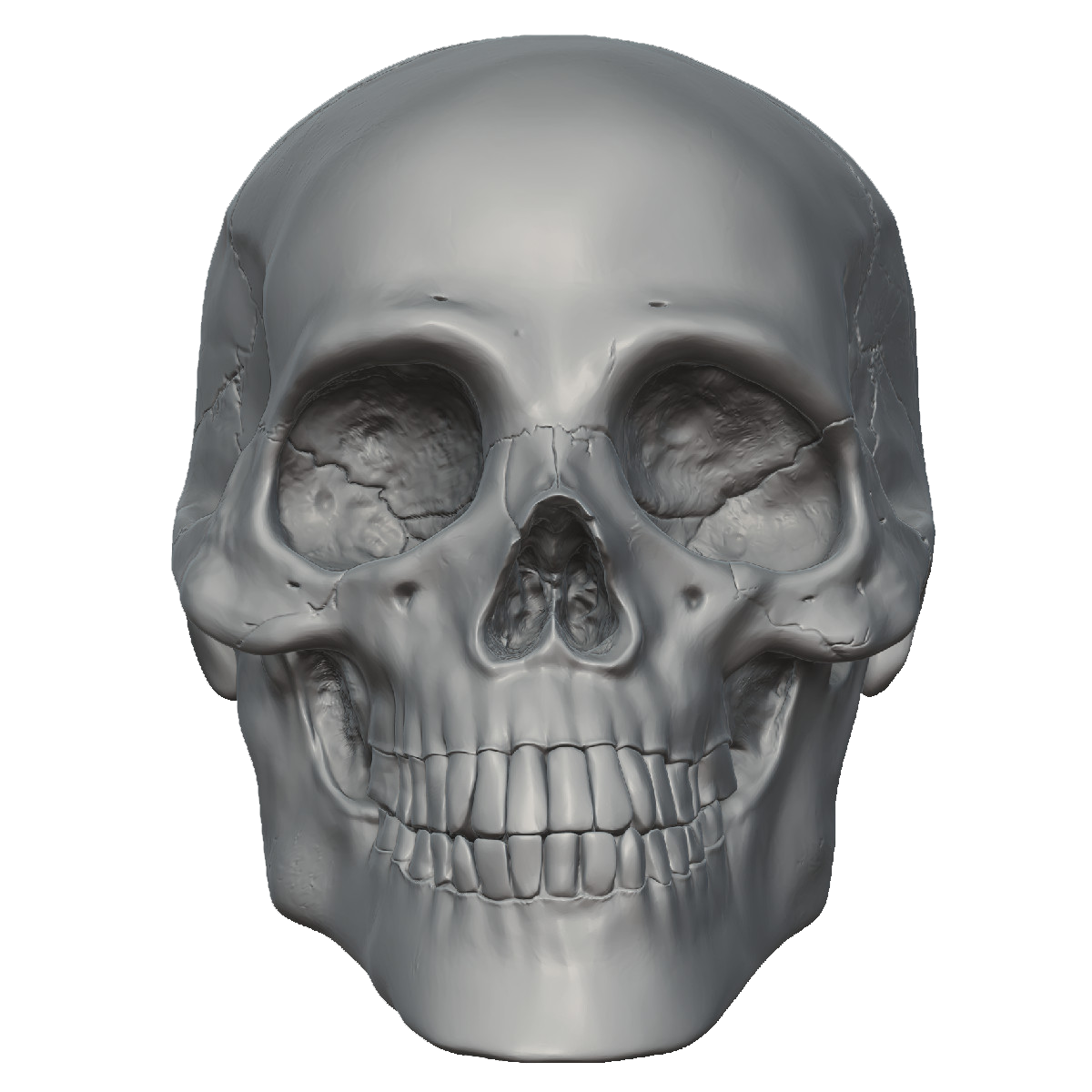 Skeleton Head Free Png Image PNG Image