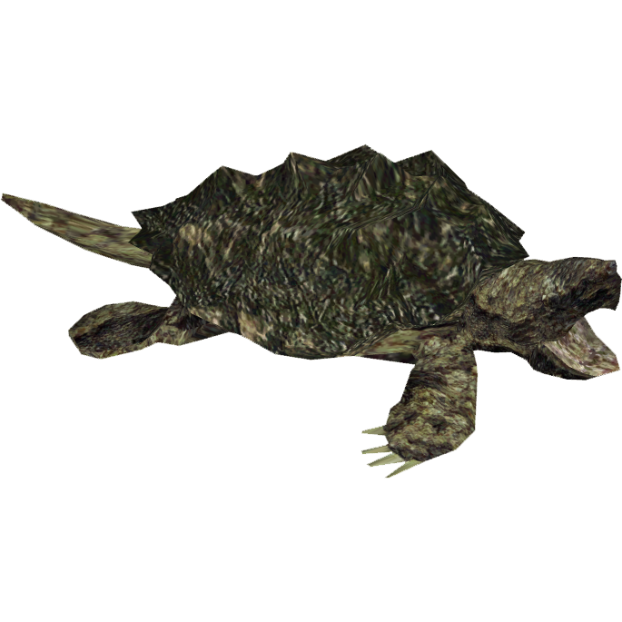 Snapping Turtle Picture PNG Image