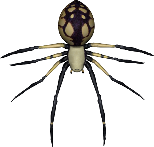 Spider Transparent Image PNG Image