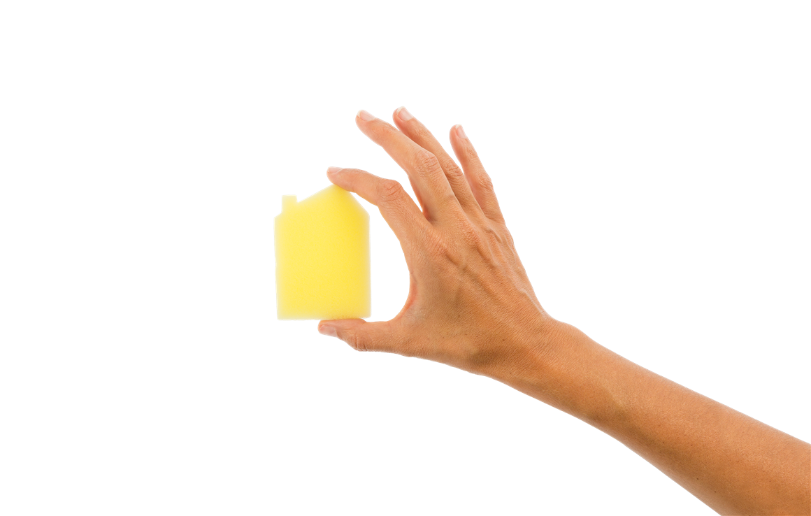 Sponge PNG Image