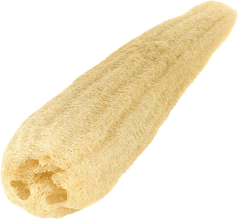 Sponge bath PNG Image