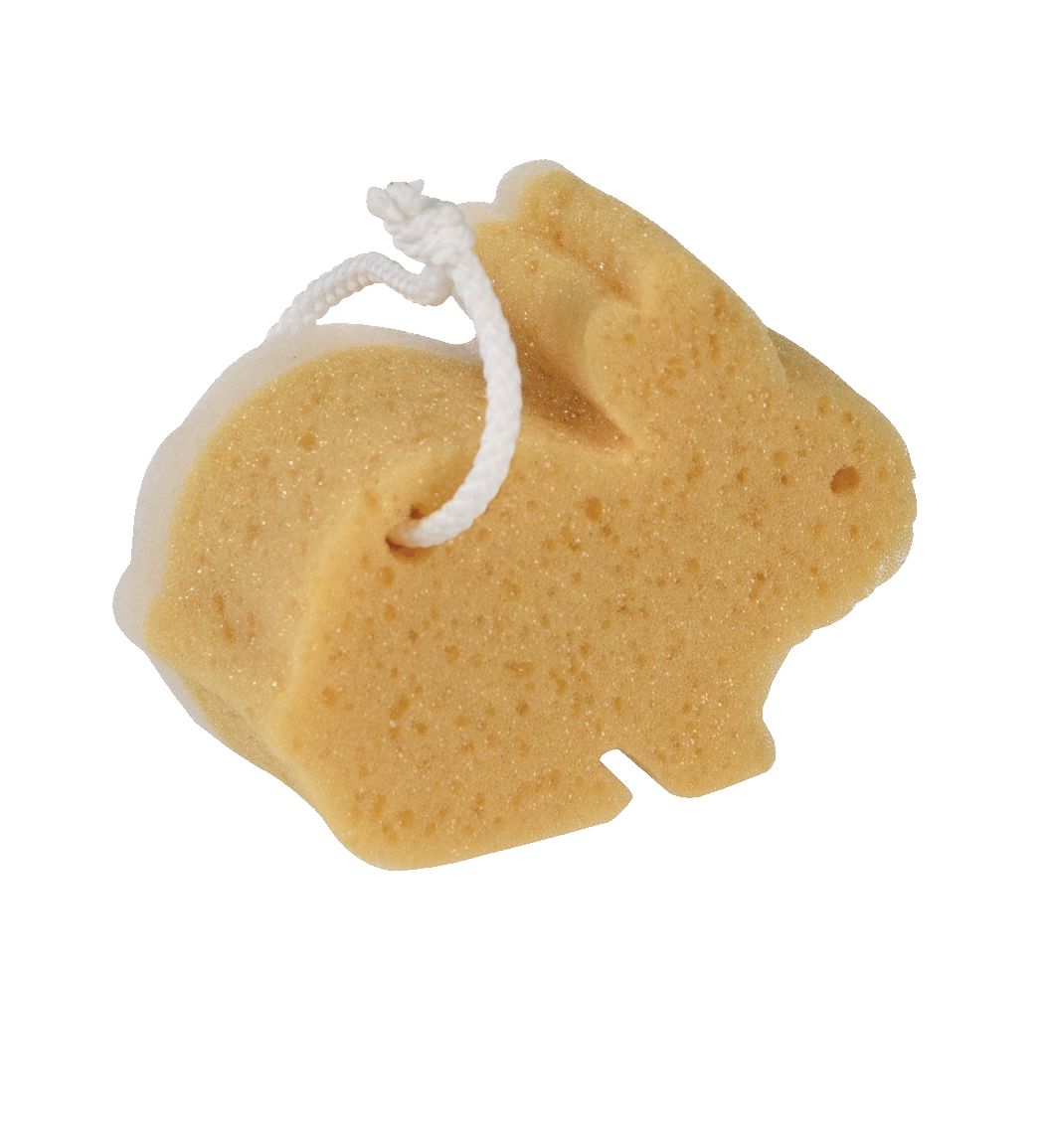 Sponge bath PNG Image