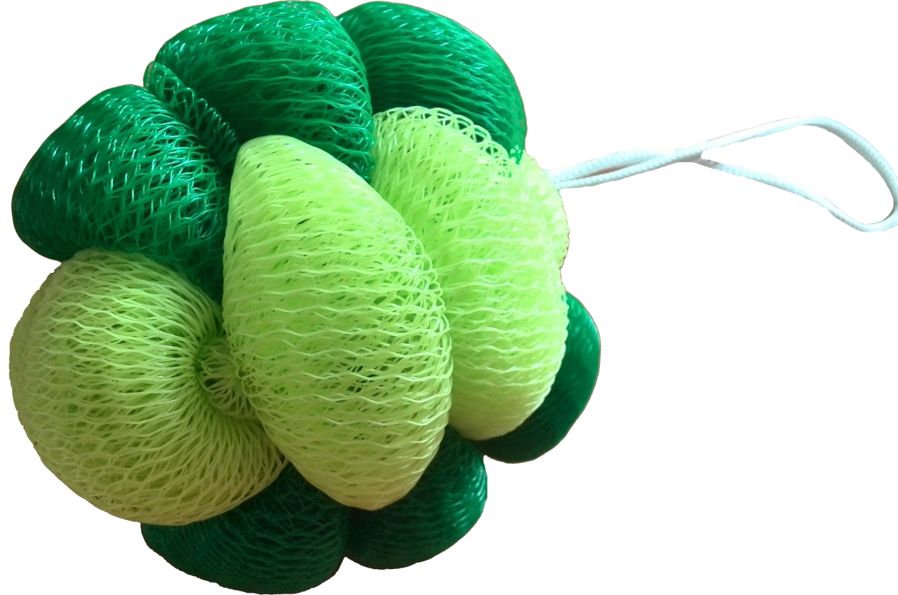 Sponge bath PNG Image