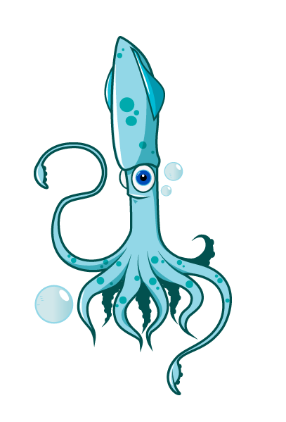 Squid PNG Image