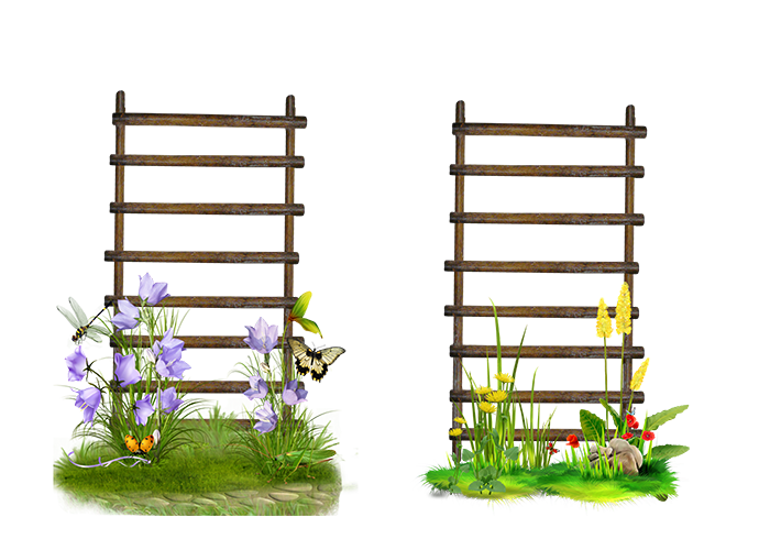 Ladder Frame Flower Stairs Garden PNG Image High Quality PNG Image