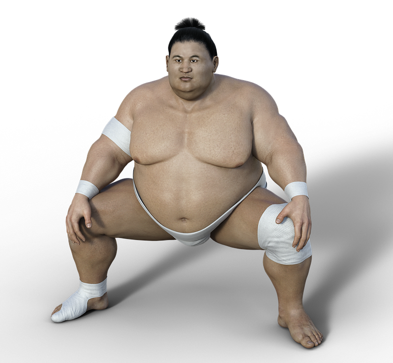 Sumo PNG Image