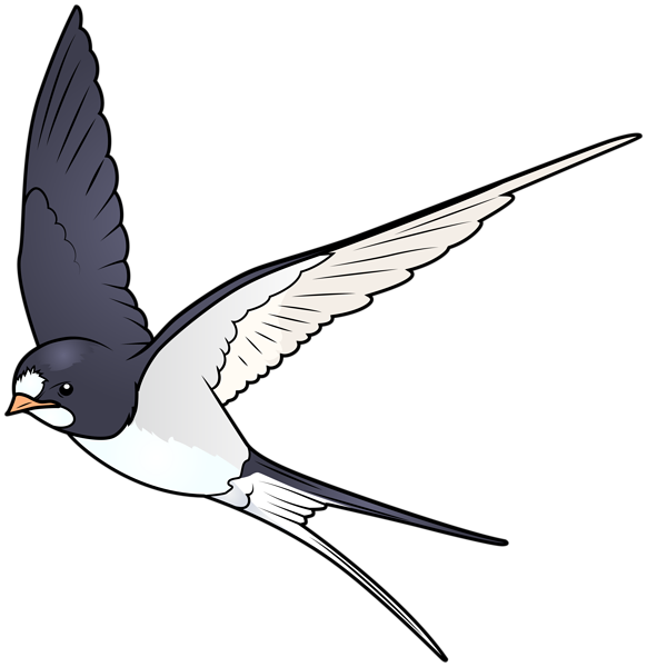 Swallow PNG Image