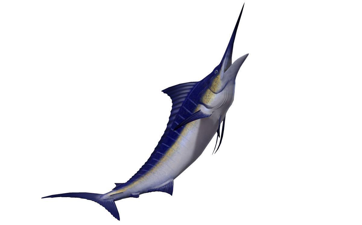 Swordfish PNG Image