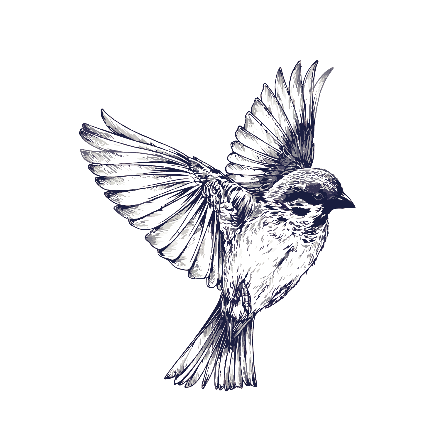 Tattoo Flight Sparrow Painted Drawing Vector Swallow PNG Image