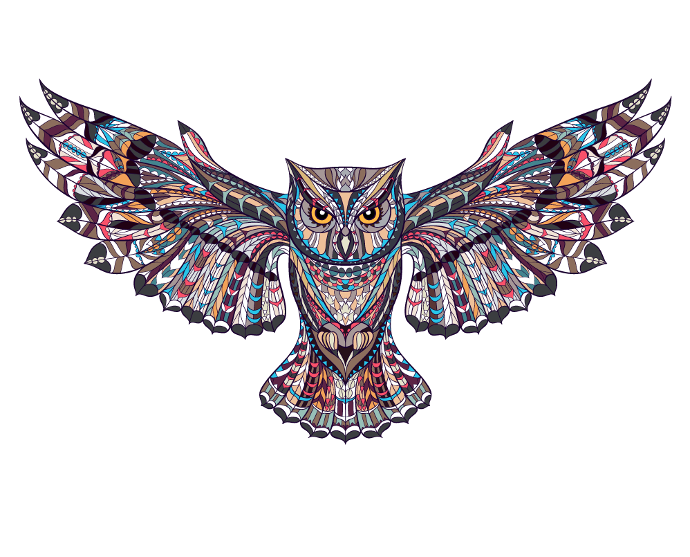 Tattoo Picture Owl Wall Sticker Illustration Decal PNG Image