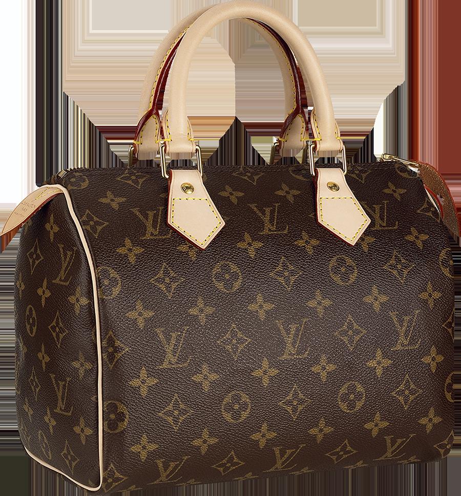 Download Vuitton Louis Bag Gucci Handbag Chanel HQ PNG Image