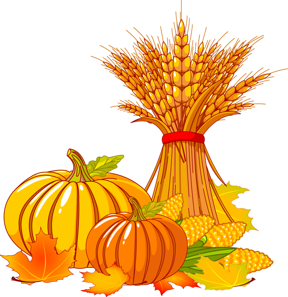 Thanksgiving Pumpkin Clipart PNG Image