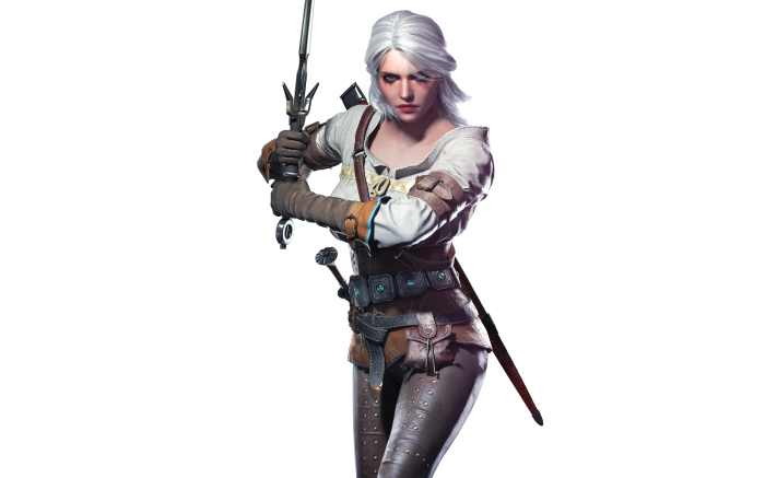 The Witcher PNG Image