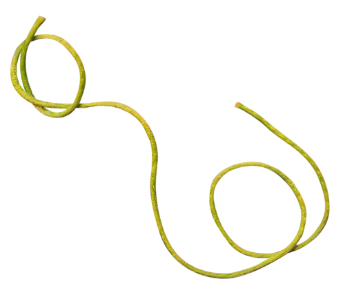 Thread PNG Image