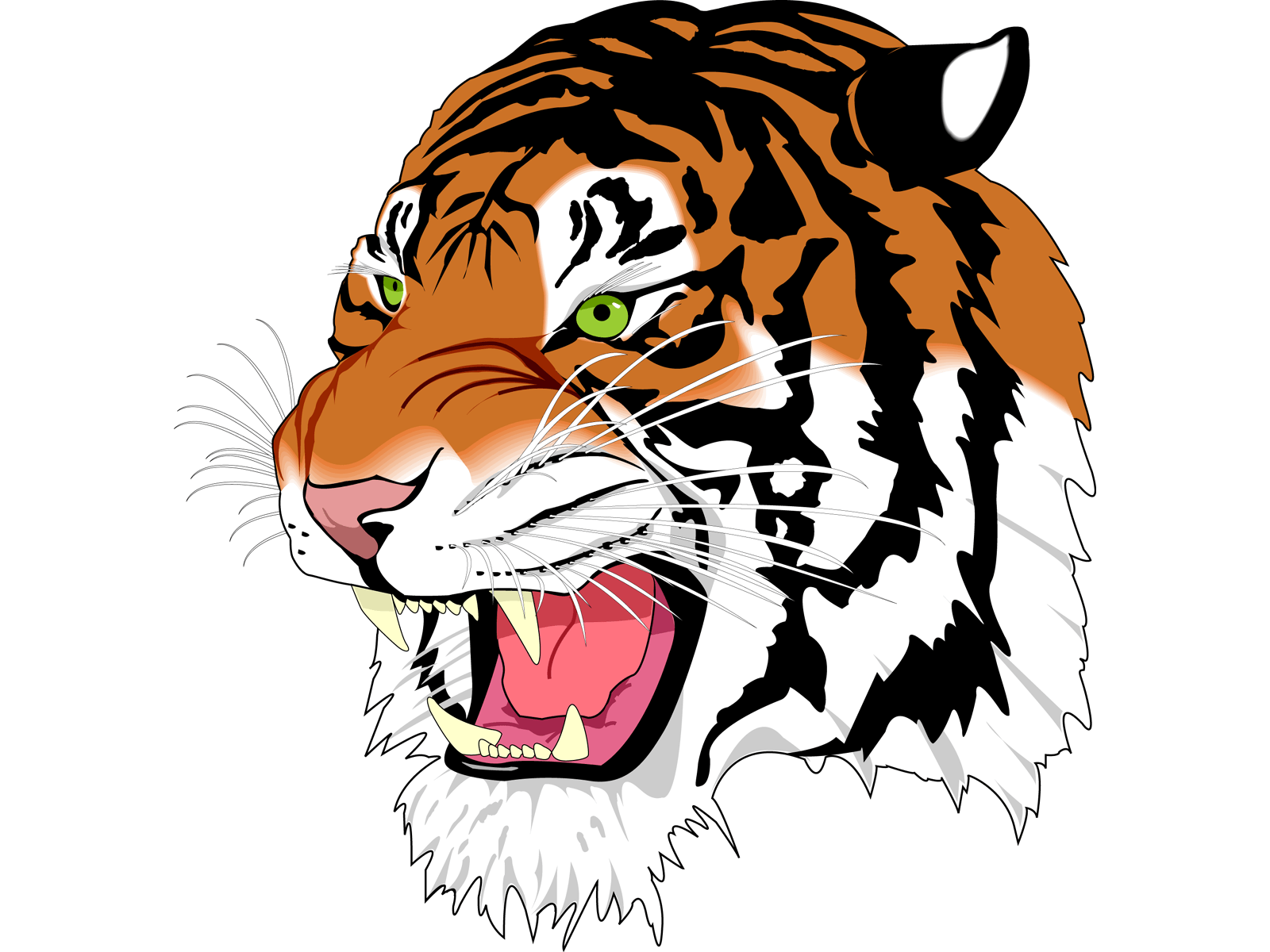Tiger Png Image Download Tigers PNG Image