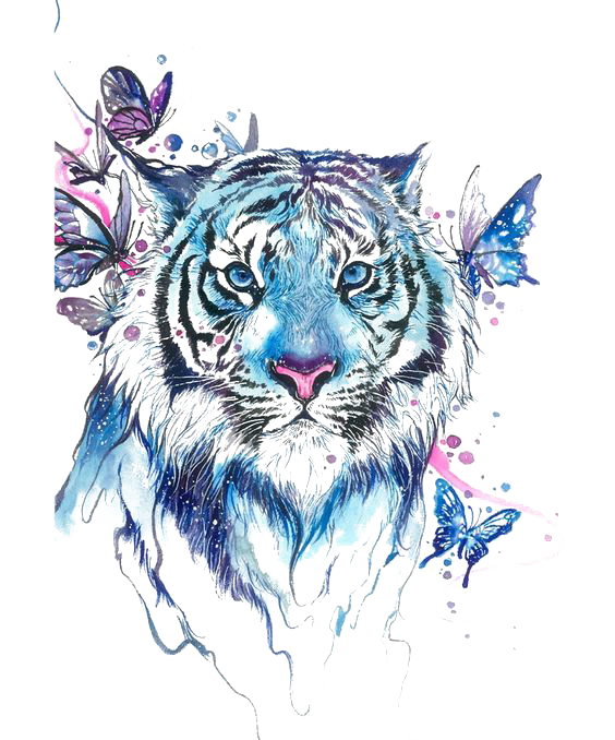 Tiger Butterfly Abziehtattoo Flash Drawing Free Transparent Image HD PNG Image