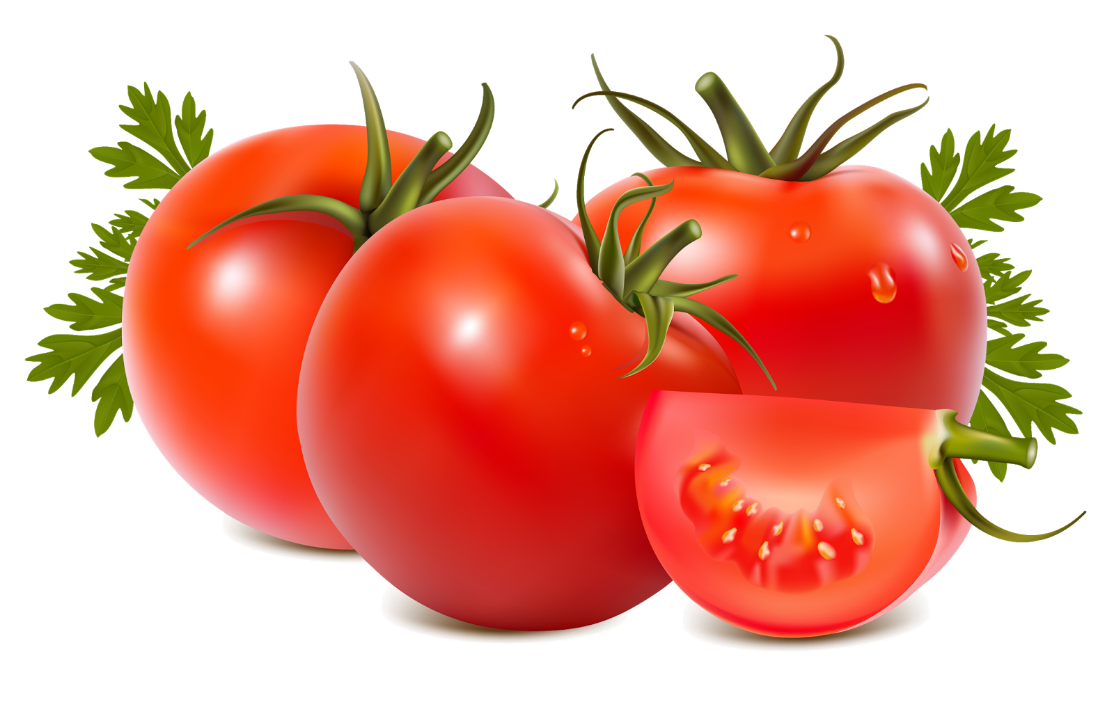 Fresh Juicy Tomatoes Bunch Free Download PNG HQ PNG Image