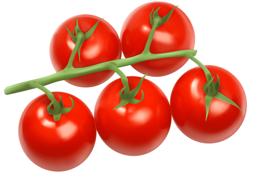 Fresh Juicy Tomatoes Bunch Free Clipart HQ PNG Image
