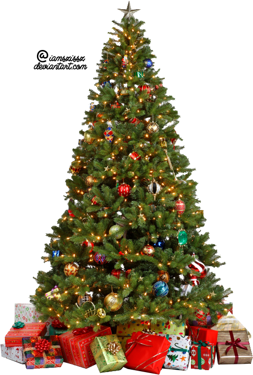 Christmas Tree Transparent Background PNG Image