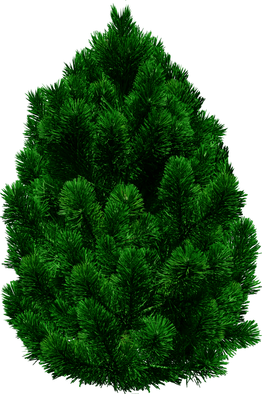 Download Free Tree Png Image Download Picture Icon Favicon Freepngimg