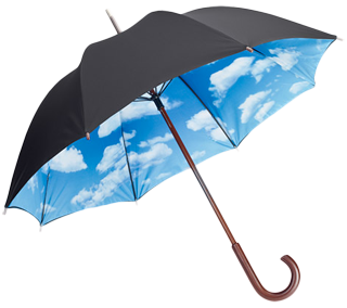 Umbrella Png Picture PNG Image