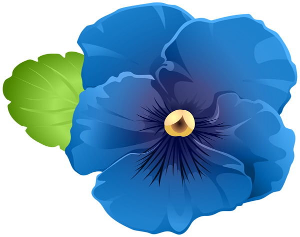 Viola PNG Image