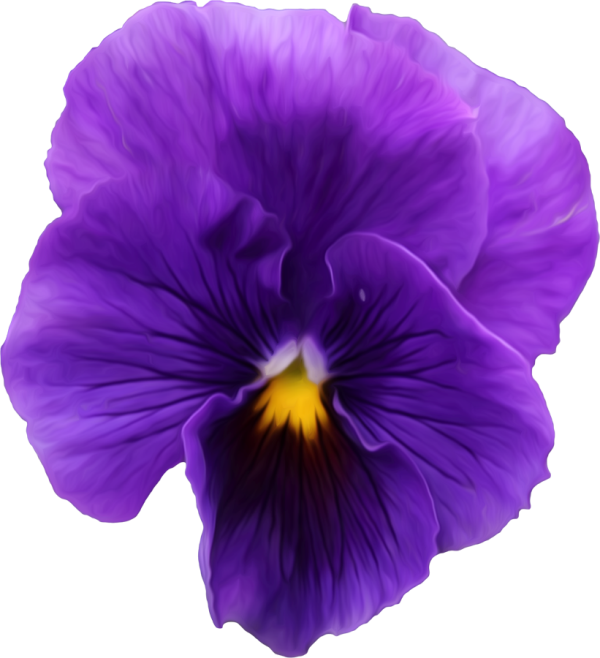 Viola PNG Image