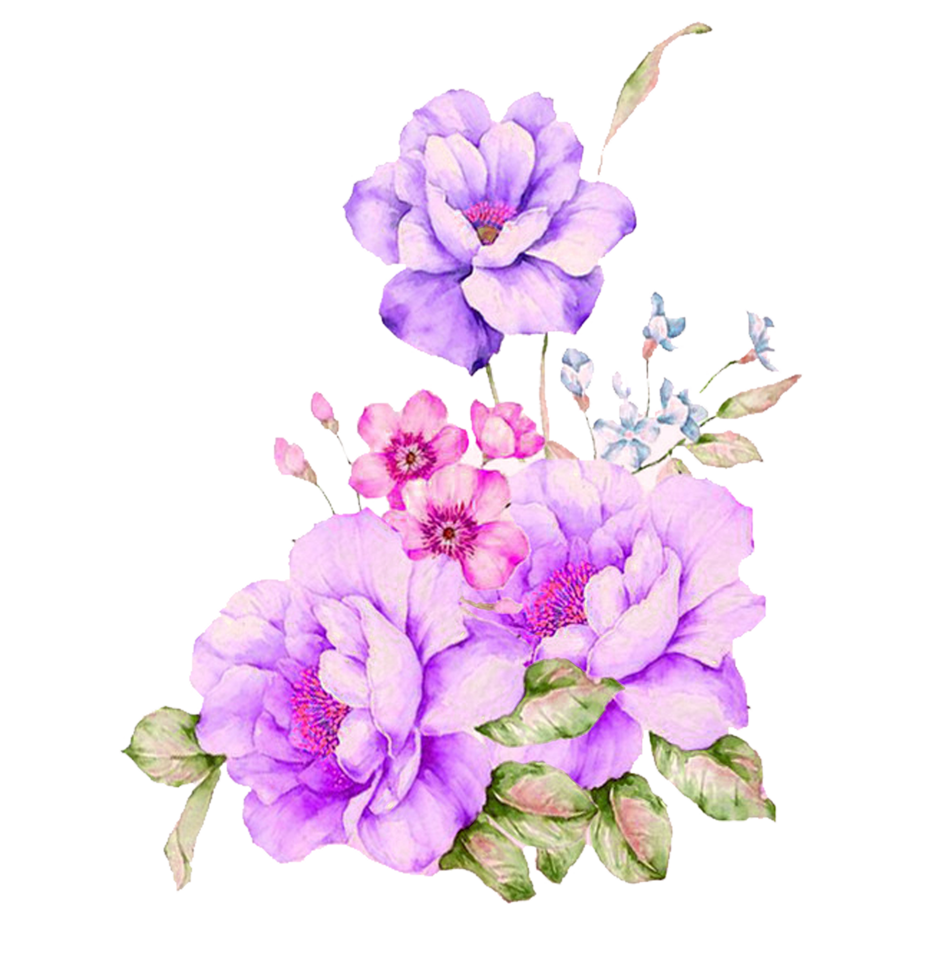Download Free Plant Flower Watercolour Watercolor Flowers Painting ICON