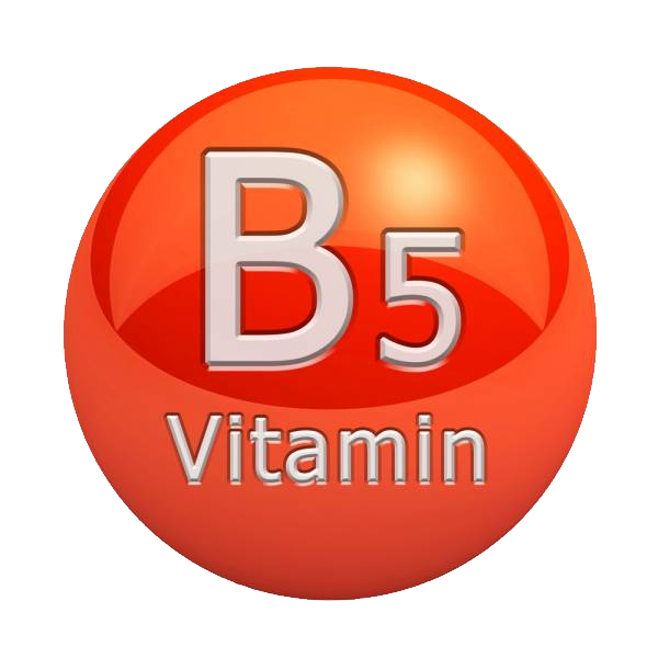 Vitamins PNG Image