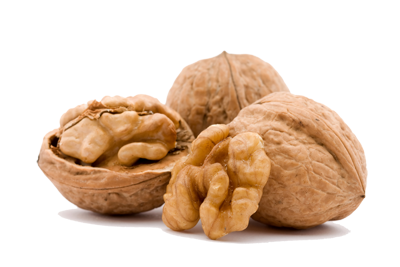 Walnut Png Pic PNG Image