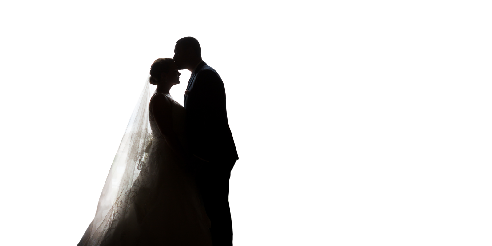 Wedding Couple Transparent Background PNG Image