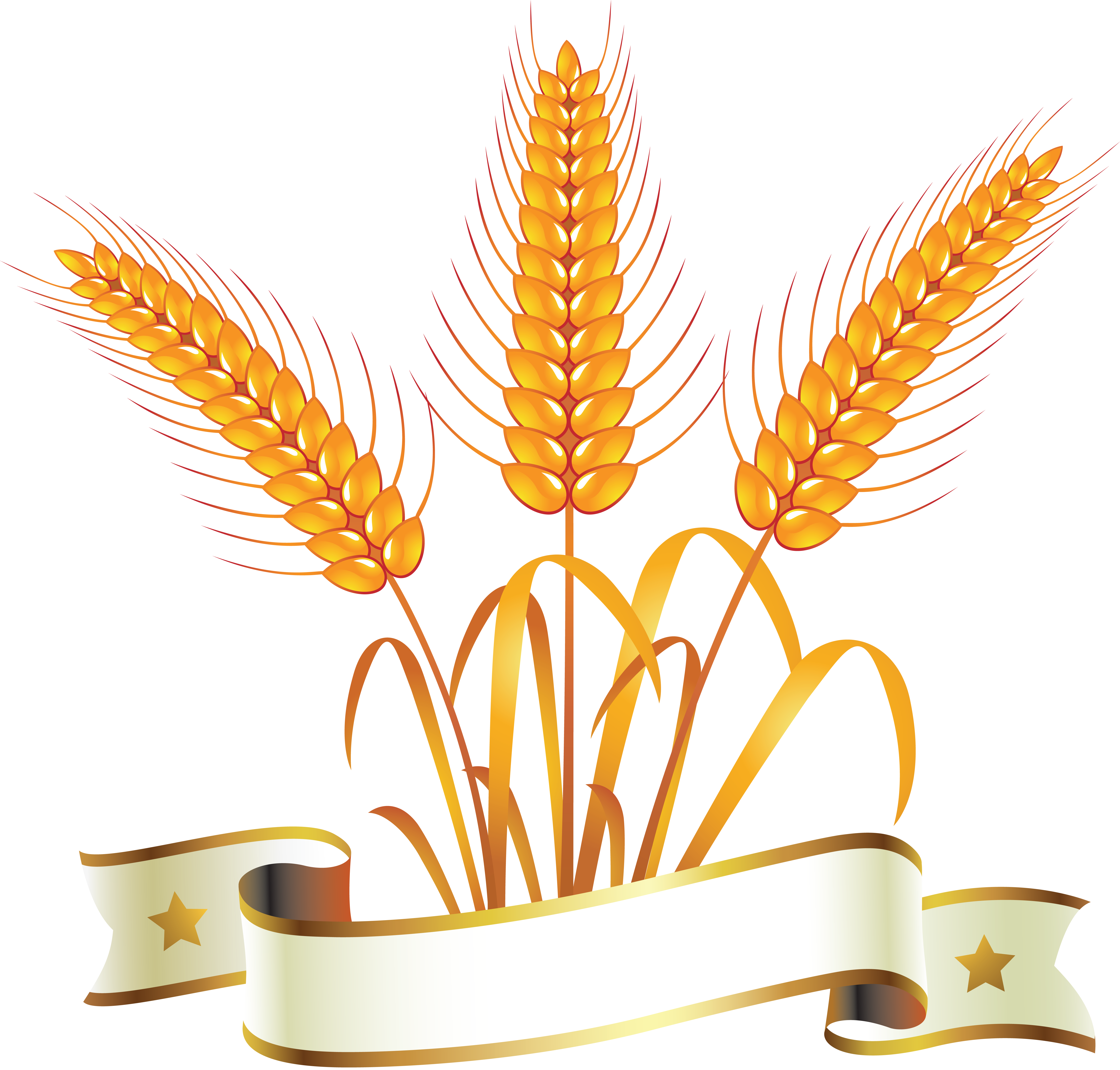 Wheat PNG Image