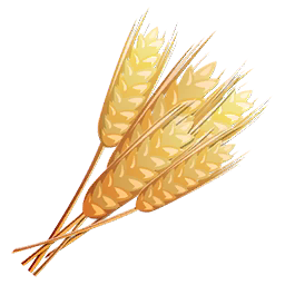 Wheat PNG Image