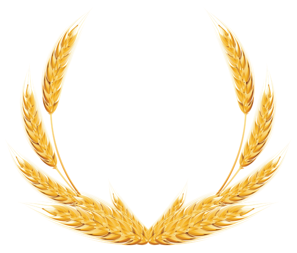 Wheat PNG Image