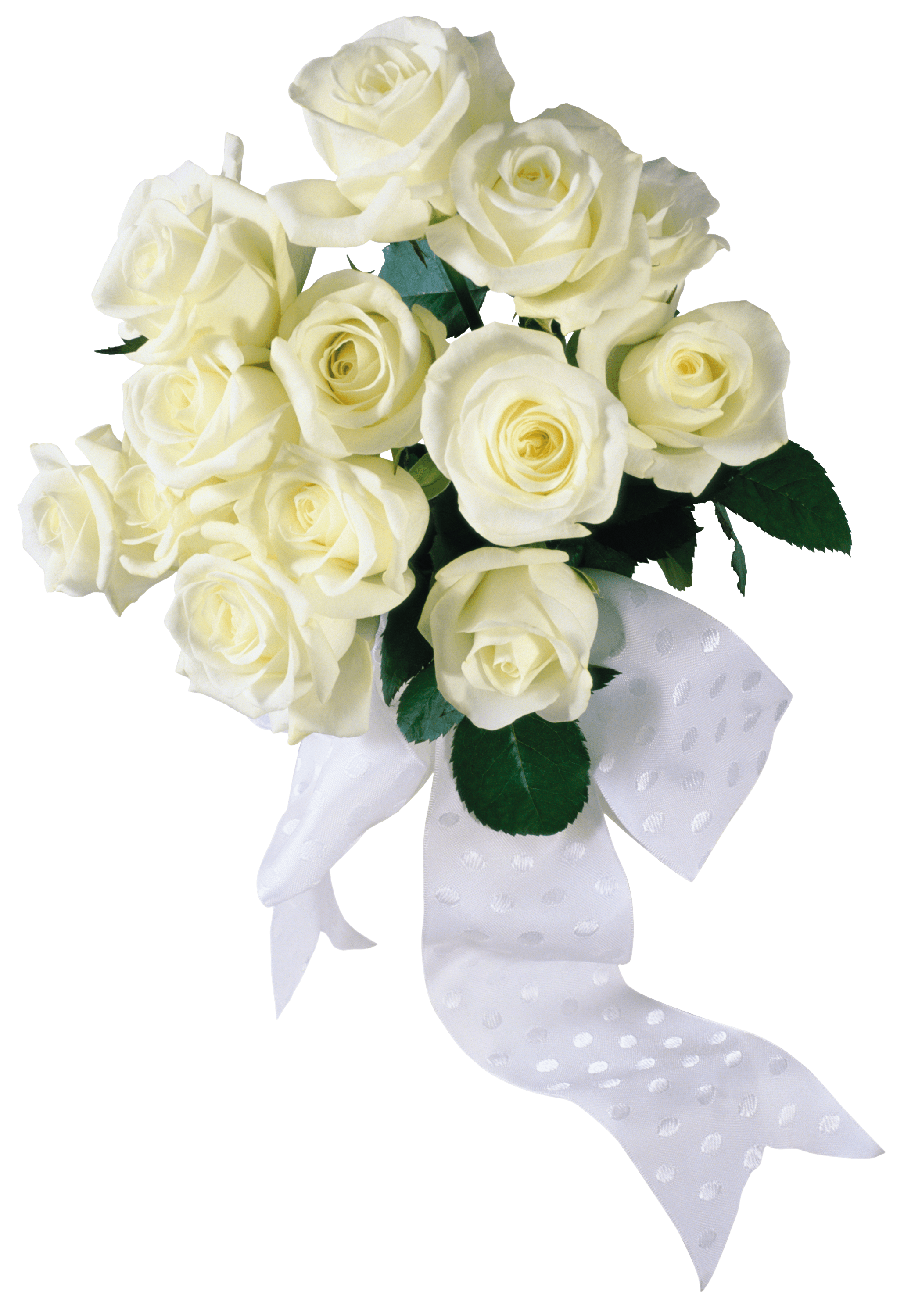 White Roses Png Image PNG Image