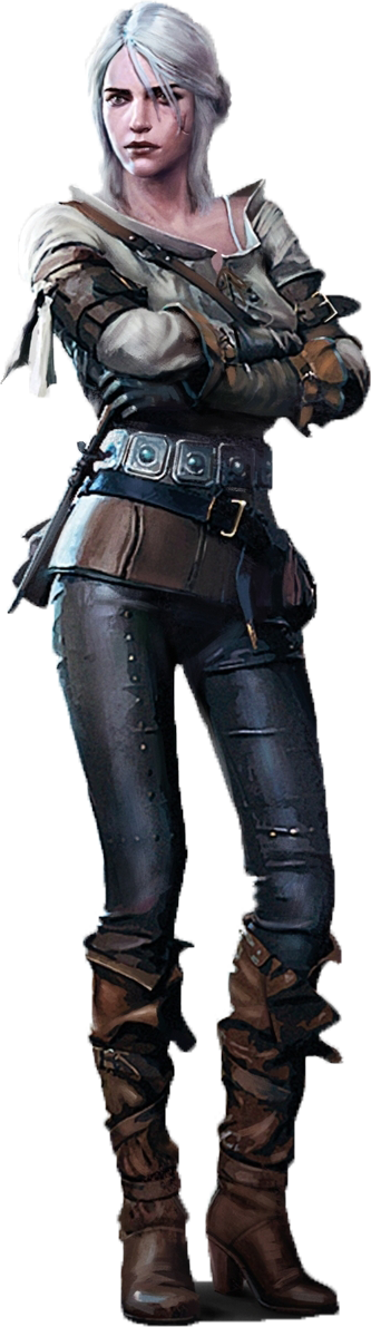 Witcher PNG Image