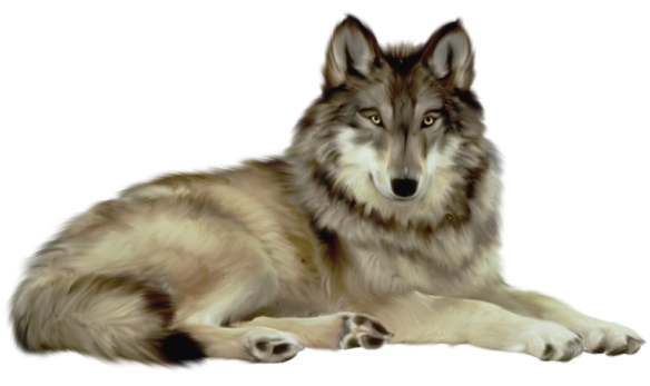 Wolf Png File PNG Image