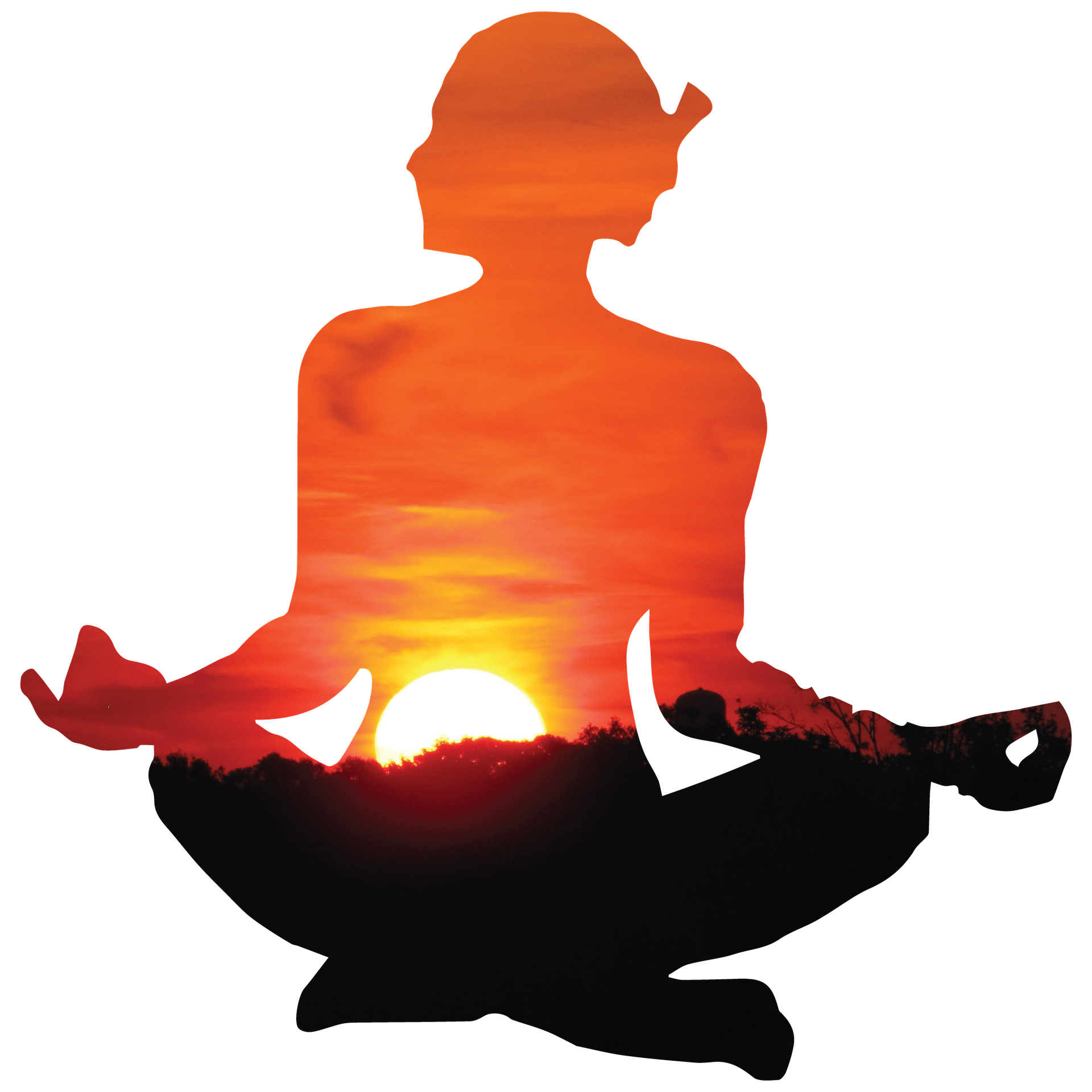 Sarvangasana Yoga Meditation Namaskara Surya Free HD Image PNG Image
