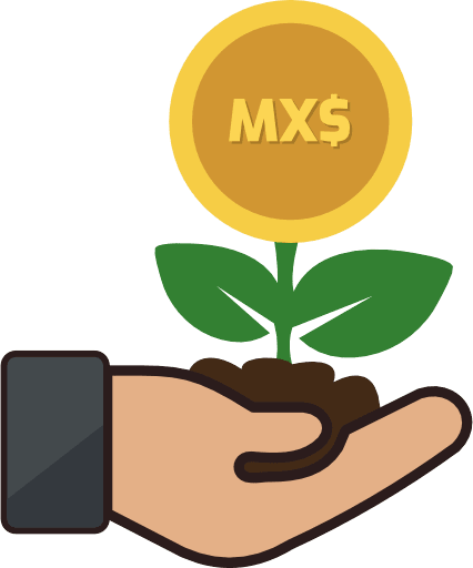 Investment Mexican Peso Color Icon