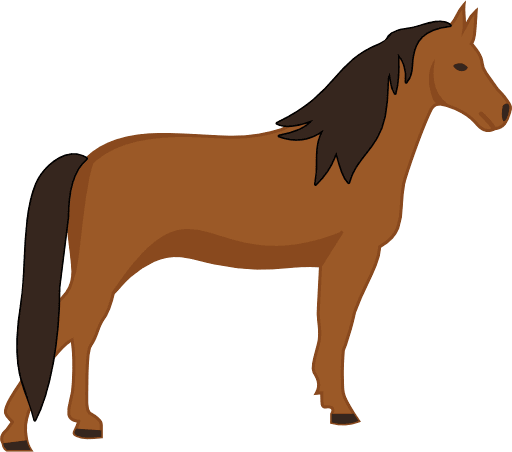 Horse Color PNG Image