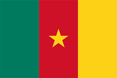 Cameroon Flag PNG Image