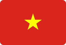 Vietnam Flag PNG Image
