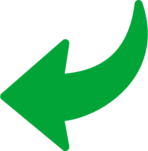 Curved Arrow Back Green Icon