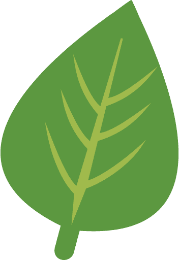 Herb Green Leaf PNG Image