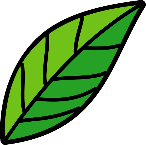 Nature Leaf PNG Image