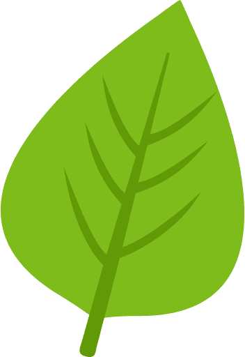 Leaf Green Color PNG Image