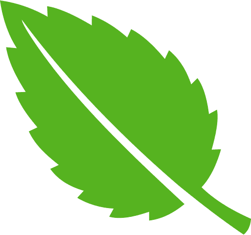 Leaf Green PNG Image