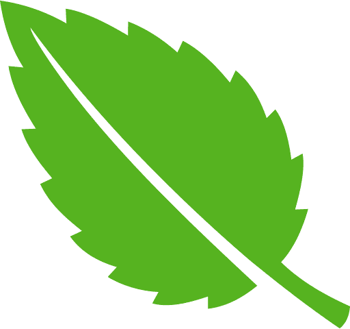 Leaf Green Icon