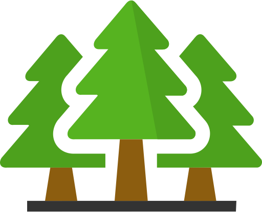 Pine Trees PNG Image