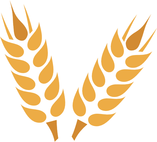 Grain Wheat Color PNG Image